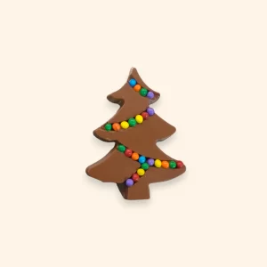 Mini Christmas Tree With Coloured Light