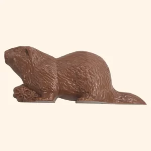 Beaver