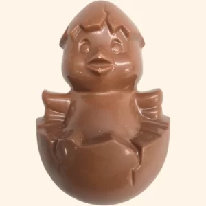 Hatching Chick