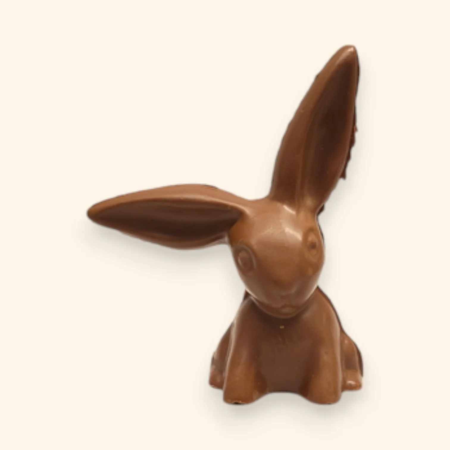 Floppy Ear Bunny