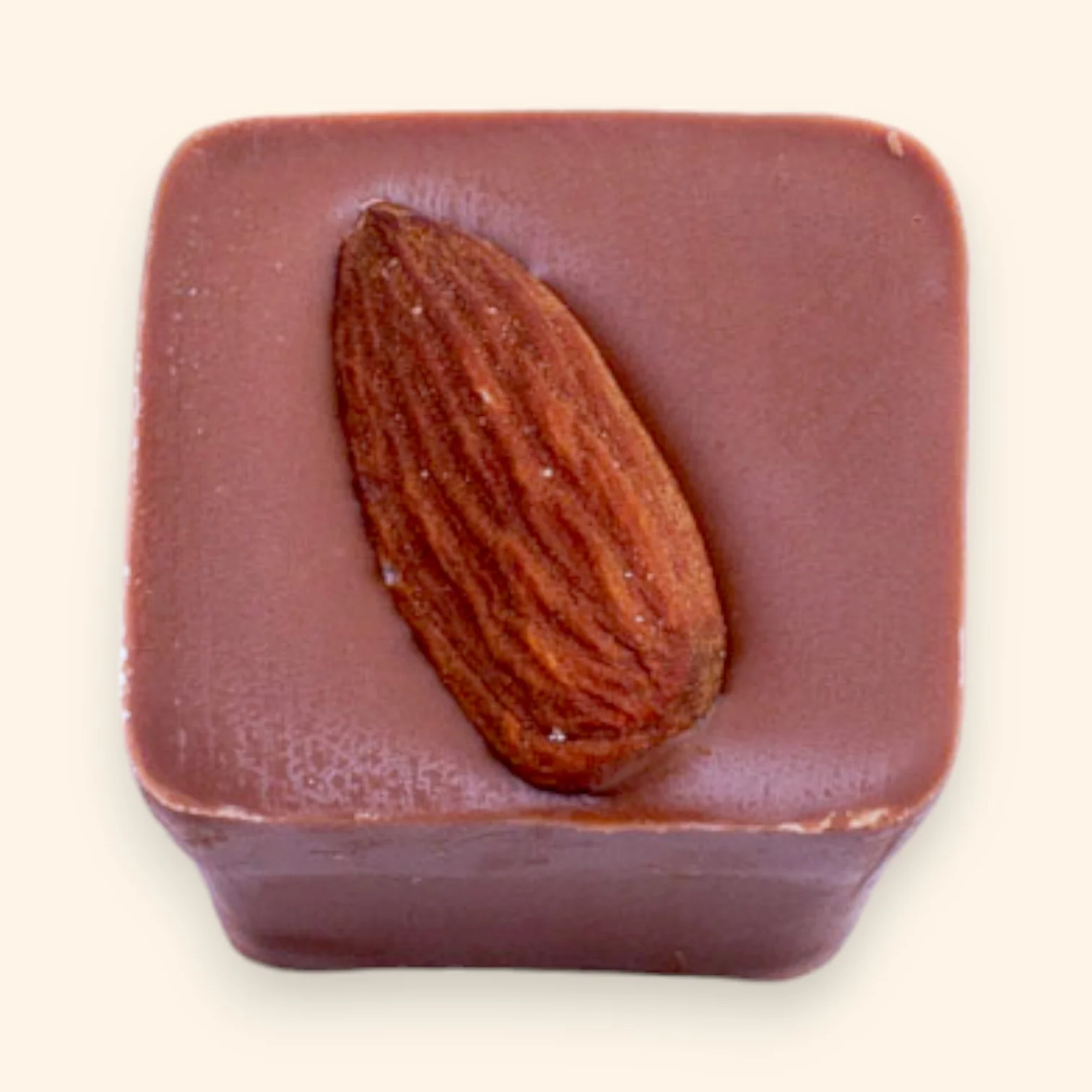 Praline Almond Truffle